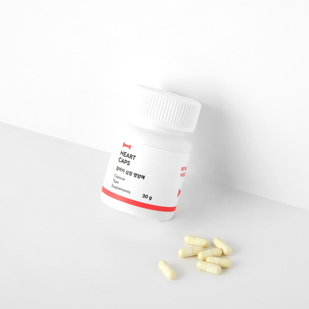 체험단 제품 사진