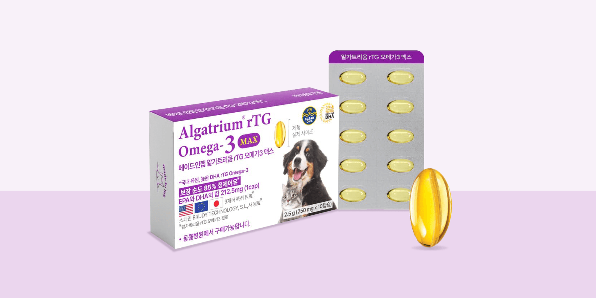 체험단 제품 사진