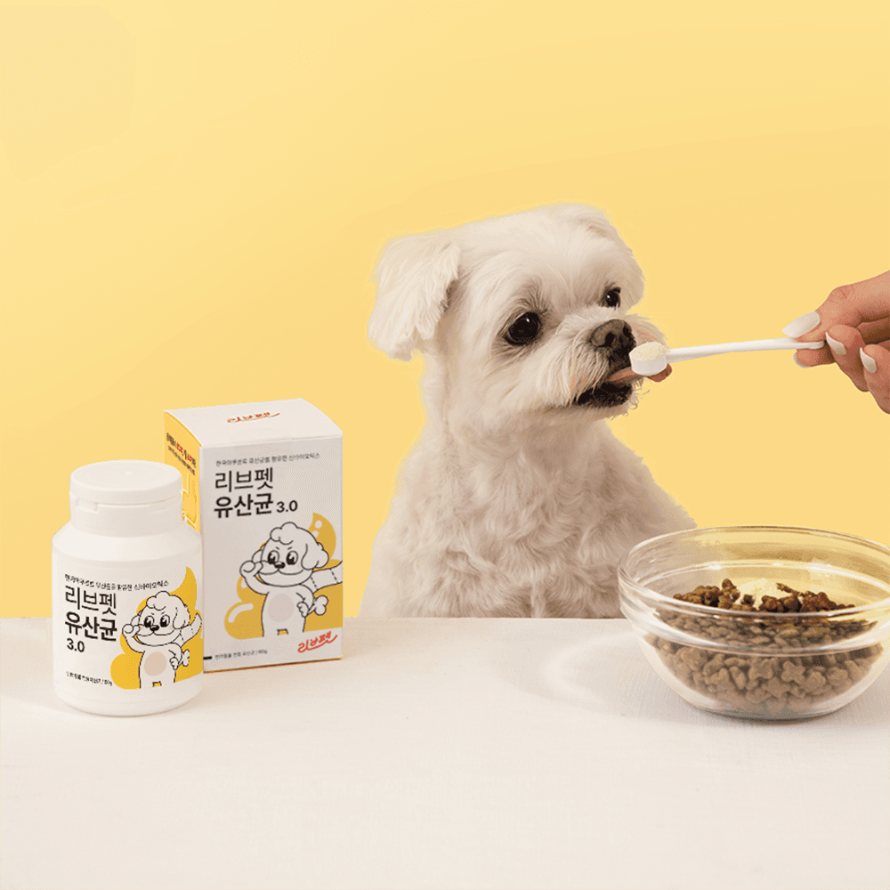 체험단 제품 사진