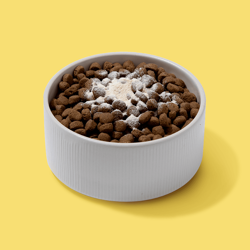 체험단 제품 사진