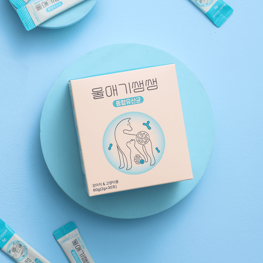 체험단 제품 사진