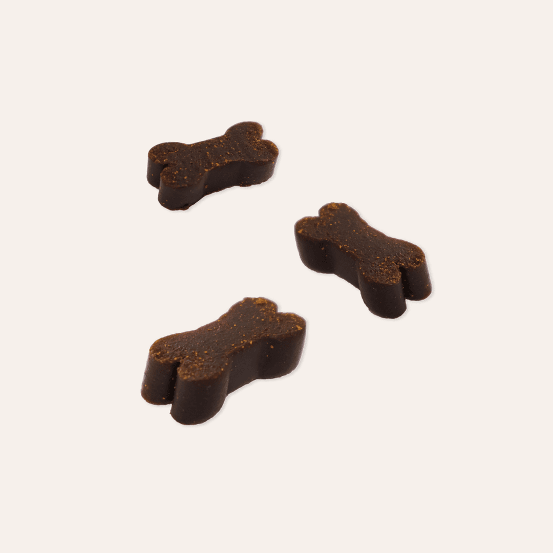 체험단 제품 사진