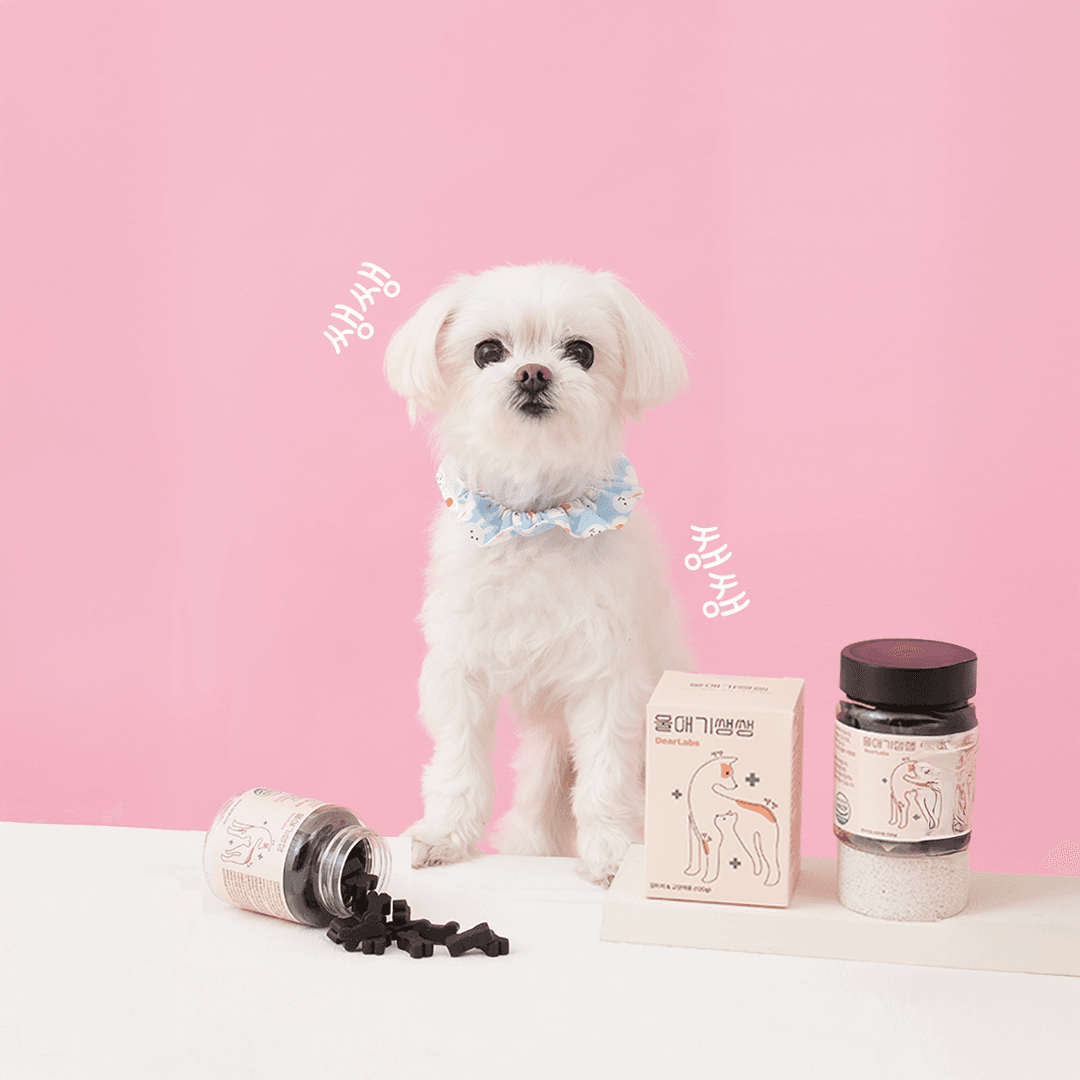 체험단 제품 사진