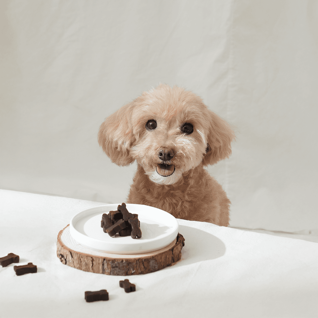 체험단 제품 사진