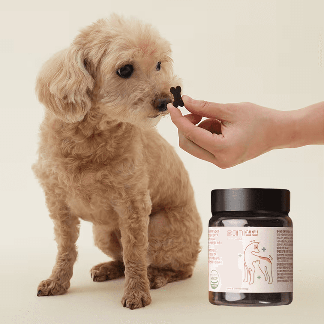 체험단 제품 사진