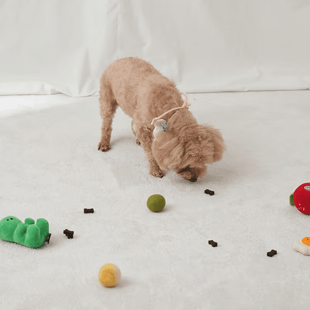 체험단 제품 사진