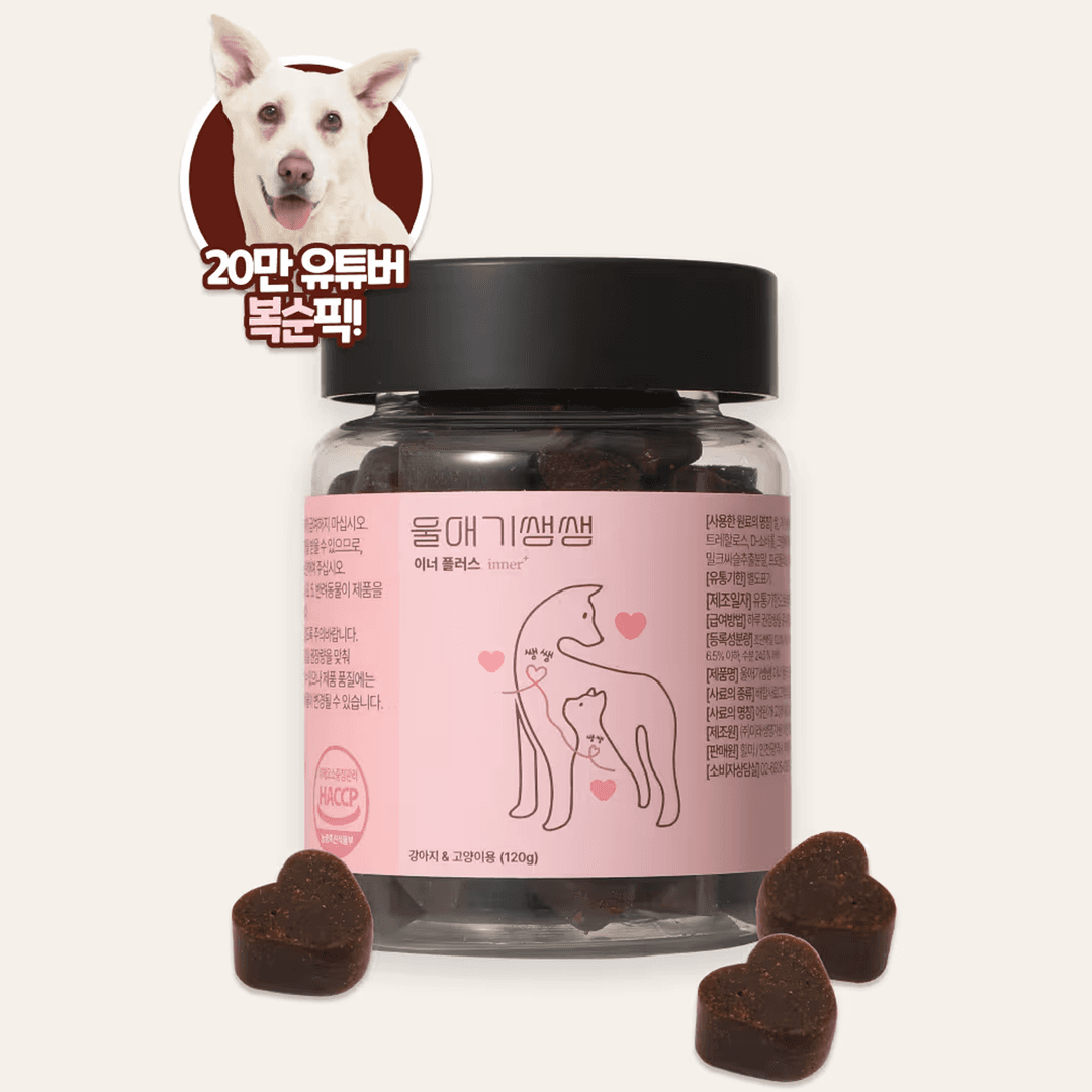 체험단 제품 사진