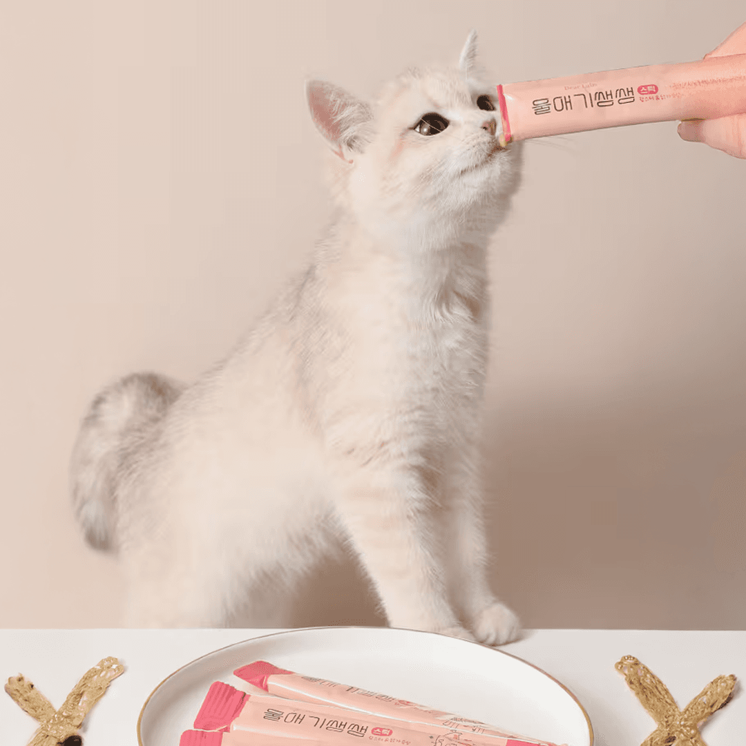 체험단 제품 사진